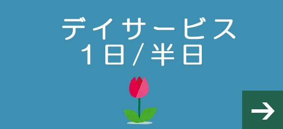 デイサービス1日/半日